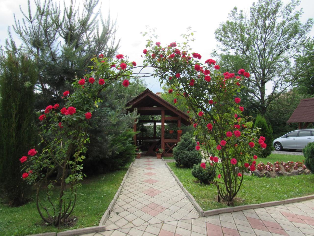 U Neli Hotel Solochin Exterior photo